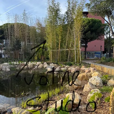 Beau Avec Belle Terrasse Au Centre De Apartman Nizza