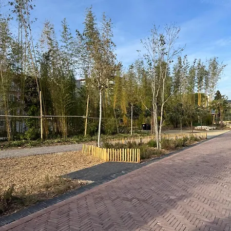 Beau Avec Belle Terrasse Au Centre De