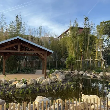 Beau Avec Belle Terrasse Au Centre De